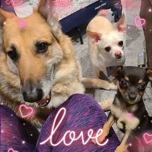 Meet your Posher, Michelle